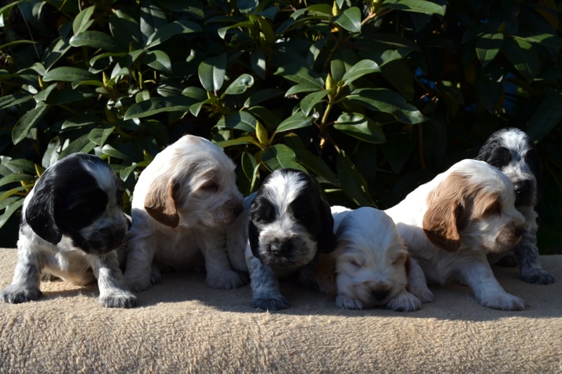 19-Janet, Jantar, Just, Jambo, Jessi, Janie.JPG